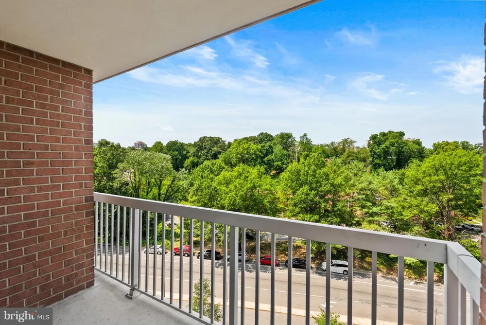 3101 HAMPTON DRIVE #606 Alexandria, VA 22302