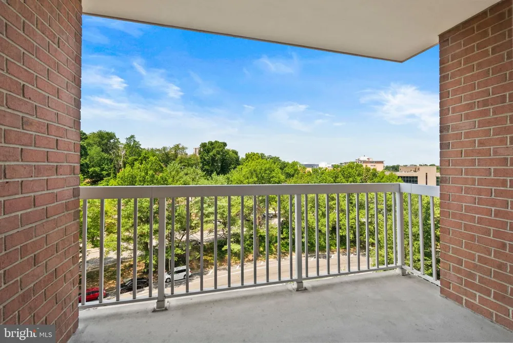 3101 HAMPTON DRIVE #606 Alexandria, VA 22302