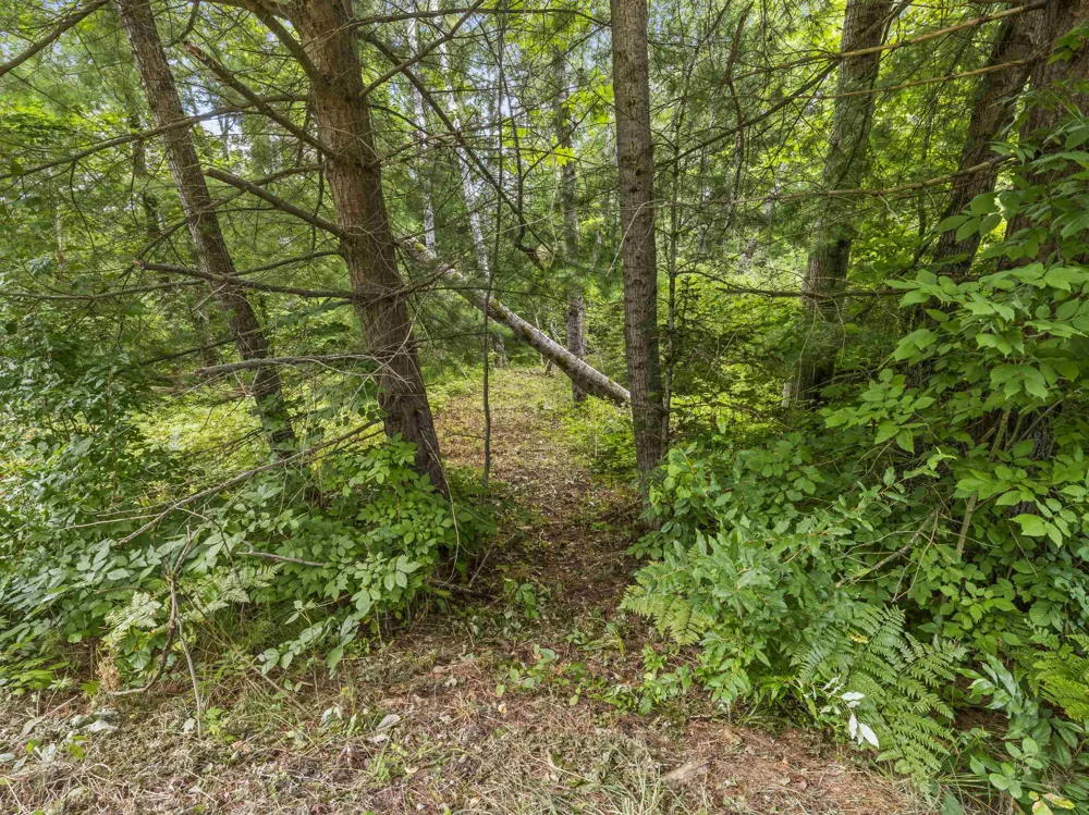 Red Barn Drive Springdale Township, MI 49683