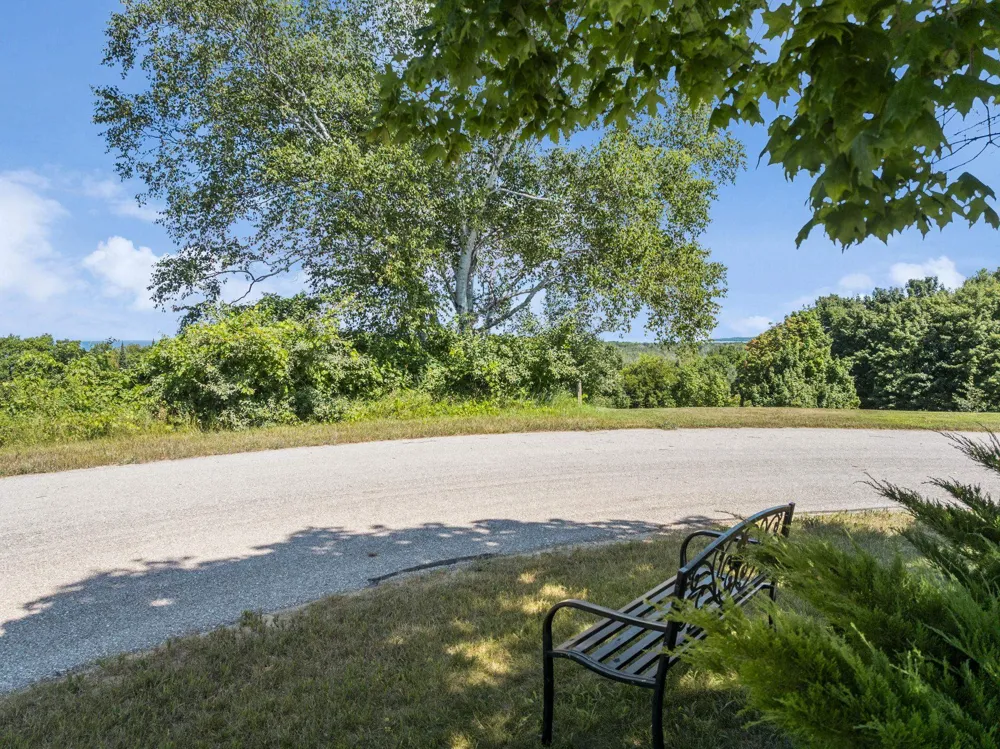 Shores Court Leelanau Township, MI 49670