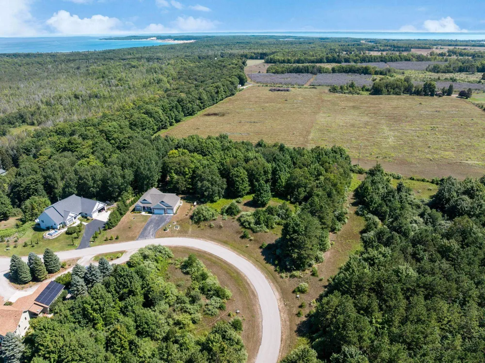 Shores Court Leelanau Township, MI 49670