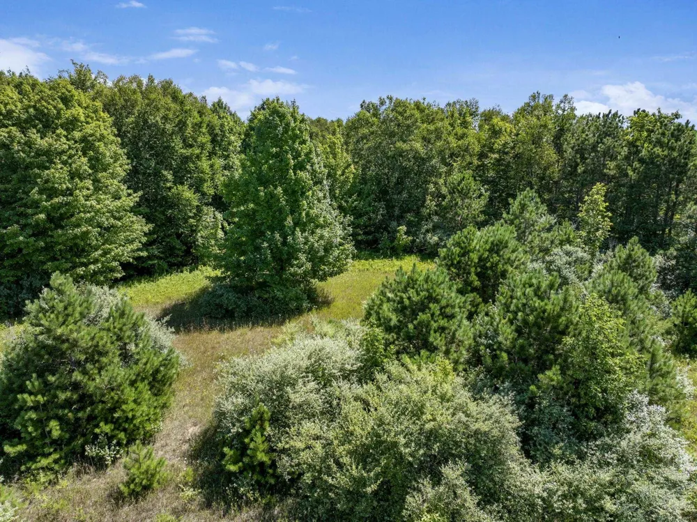 Shores Court Leelanau Township, MI 49670