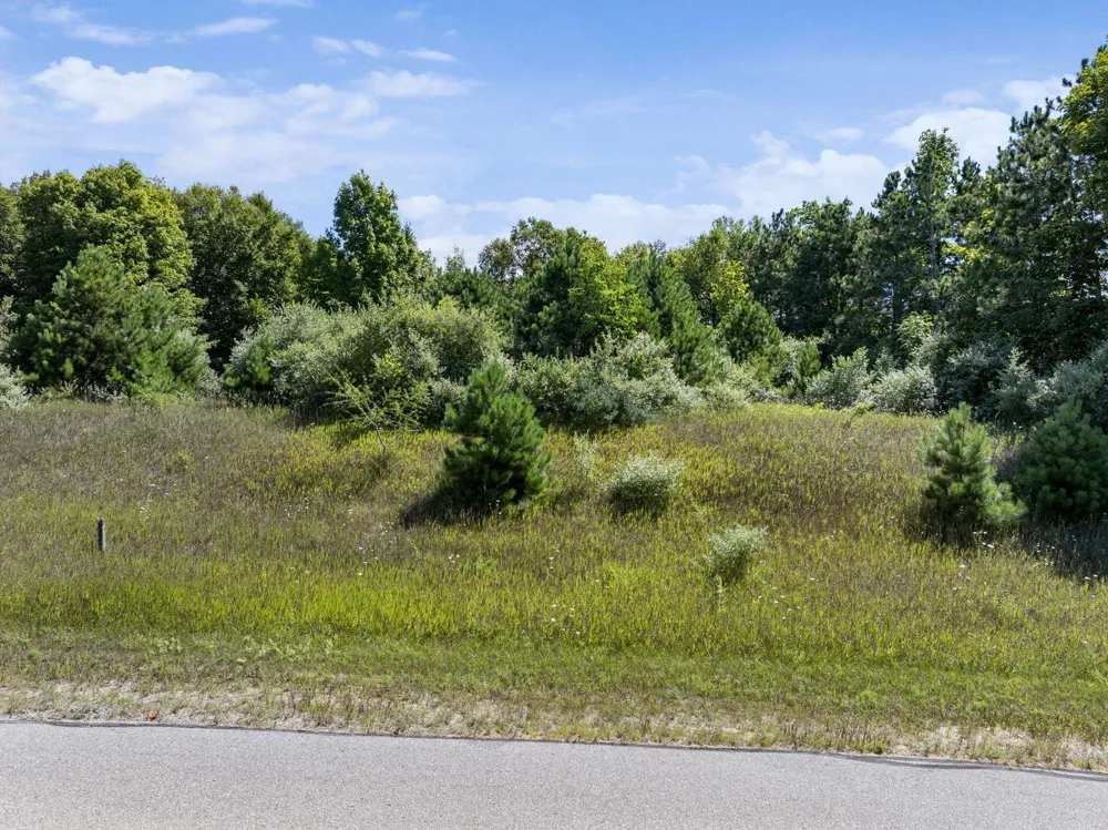 Shores Court Leelanau Township, MI 49670