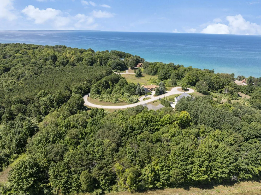 Shores Court Leelanau Township, MI 49670