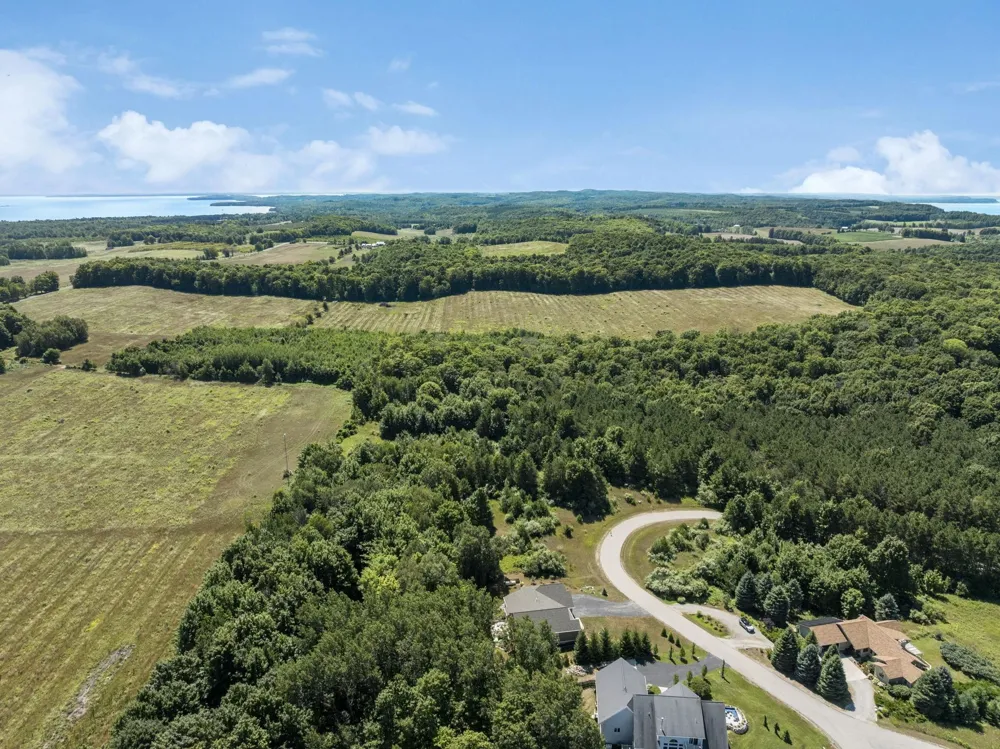 Shores Court Leelanau Township, MI 49670