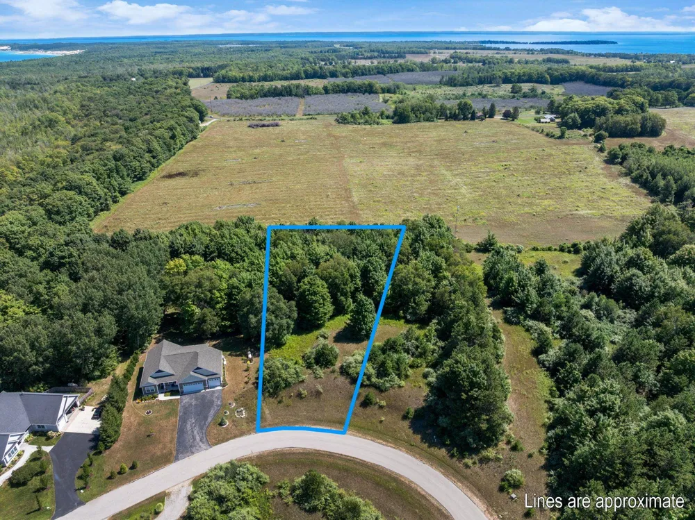 Shores Court Leelanau Township, MI 49670