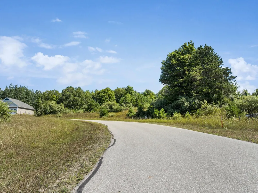 Shores Court Leelanau Township, MI 49670