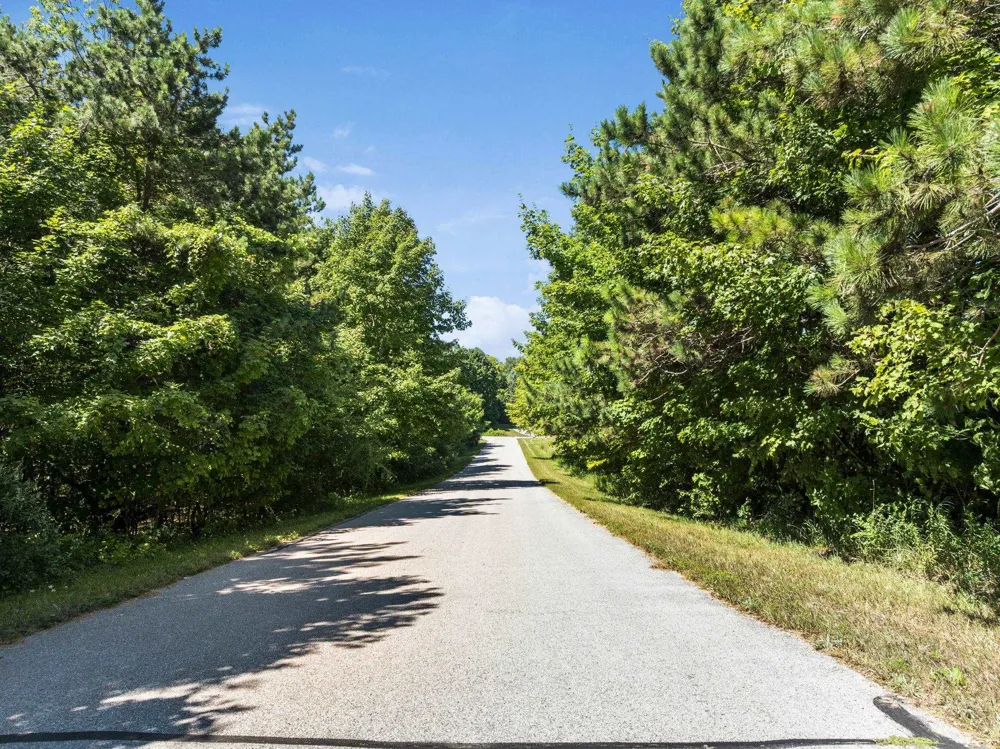 Shores Court Leelanau Township, MI 49670