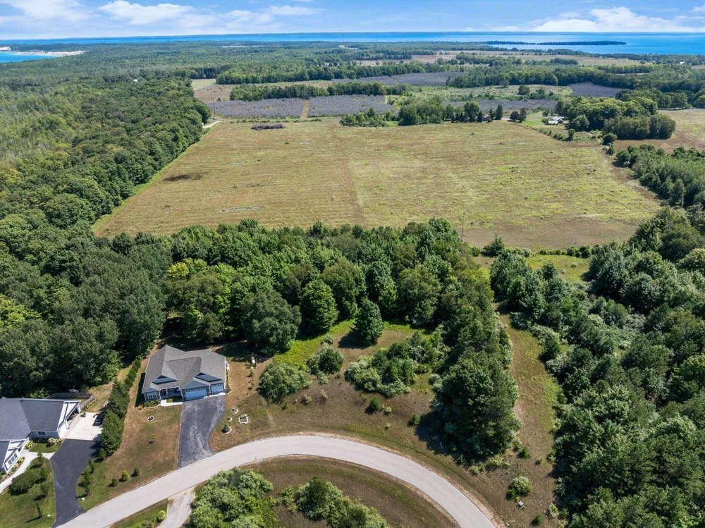 Shores Court Leelanau Township, MI 49670