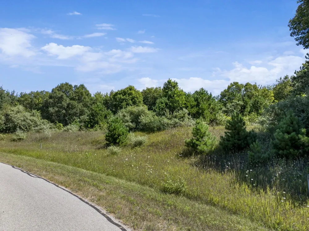 Shores Court Leelanau Township, MI 49670