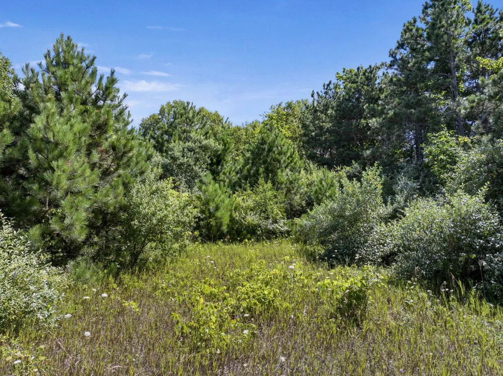 Shores Court Leelanau Township, MI 49670