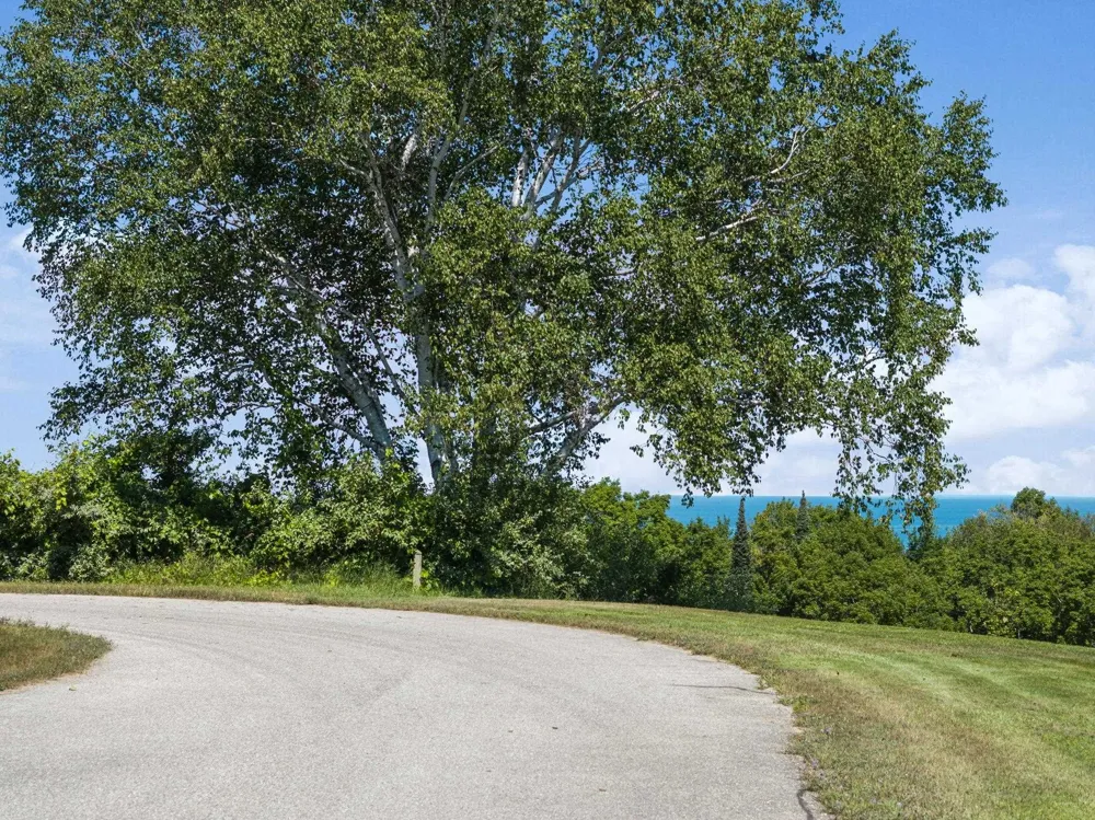 Shores Court Leelanau Township, MI 49670