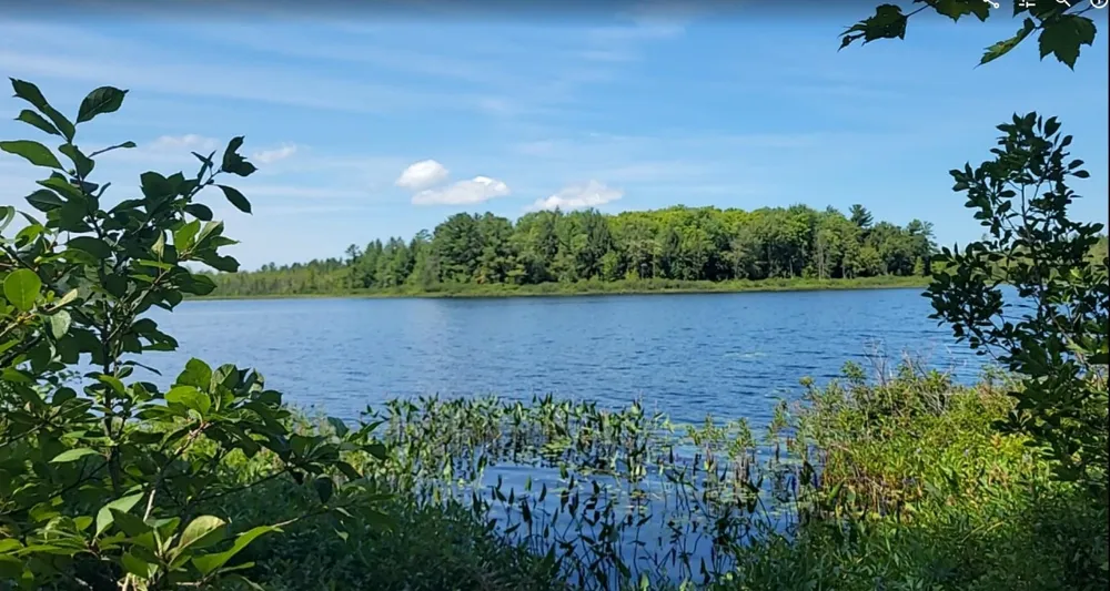 457 NE Lake Drive Kalkaska Township, MI 49646