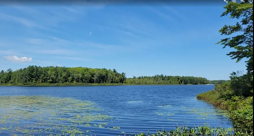 457 NE Lake Drive Kalkaska Township, MI 49646