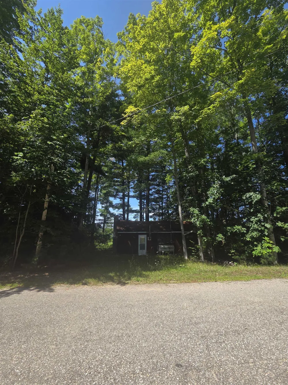 457 NE Lake Drive Kalkaska Township, MI 49646