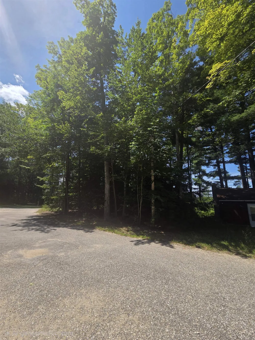 457 NE Lake Drive Kalkaska Township, MI 49646
