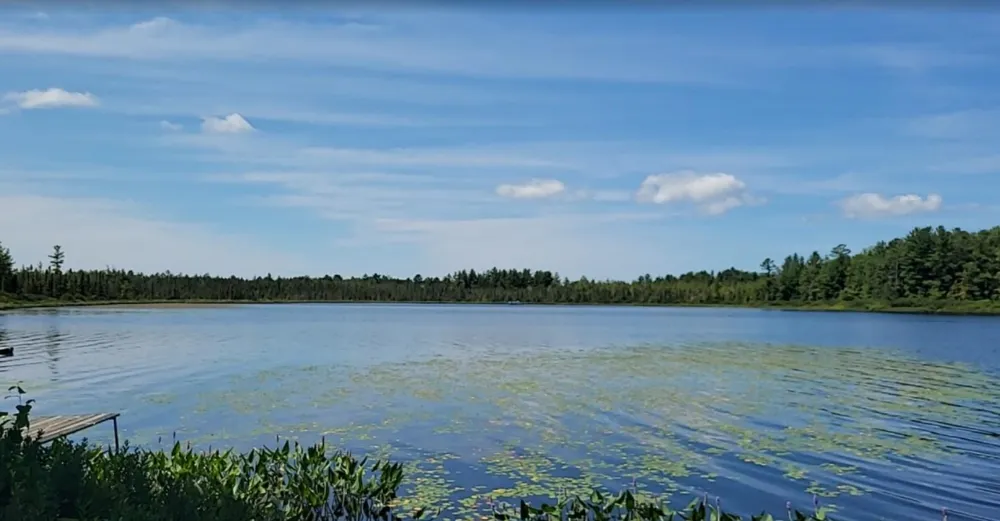 457 NE Lake Drive Kalkaska Township, MI 49646