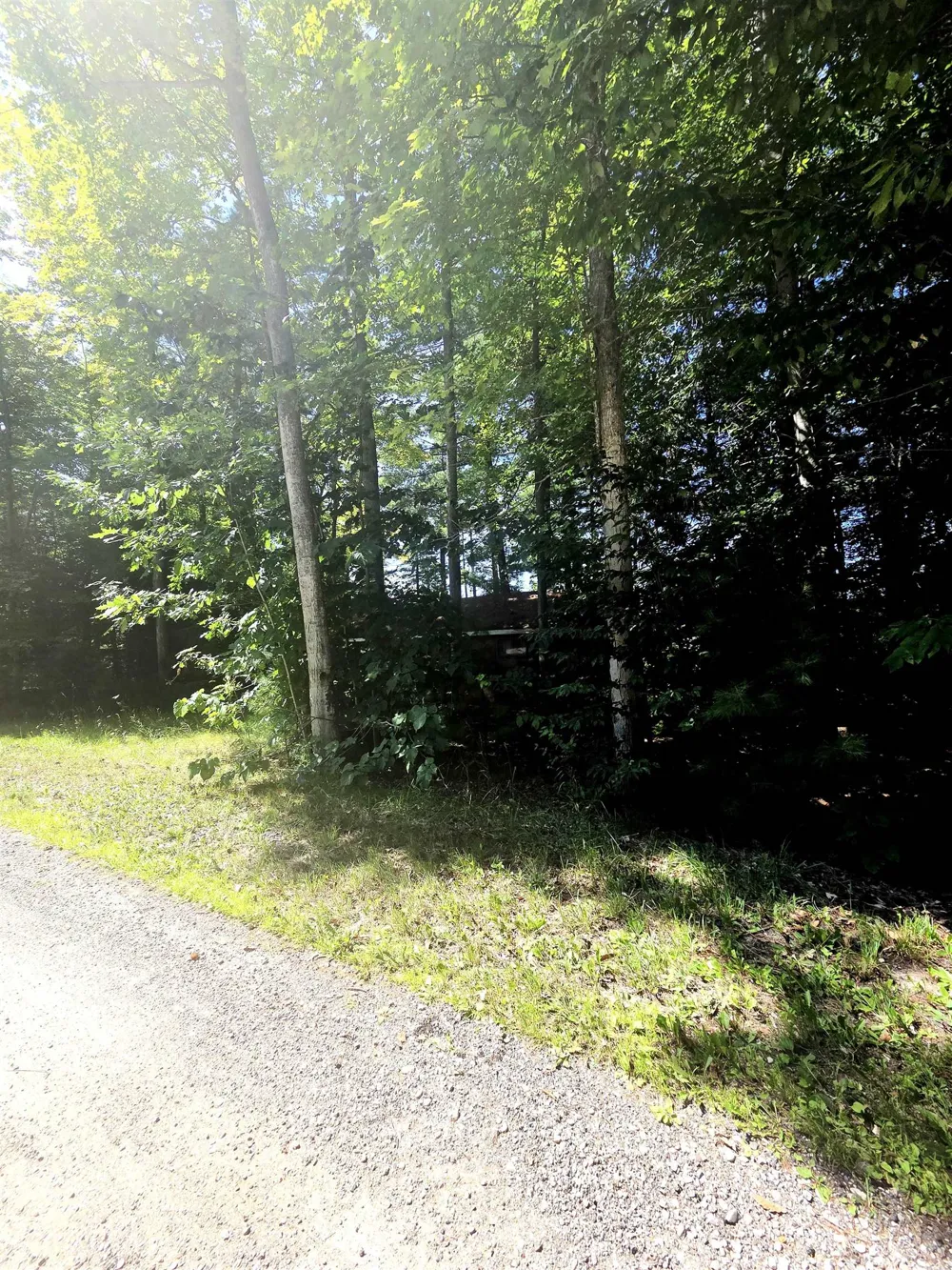457 NE Lake Drive Kalkaska Township, MI 49646