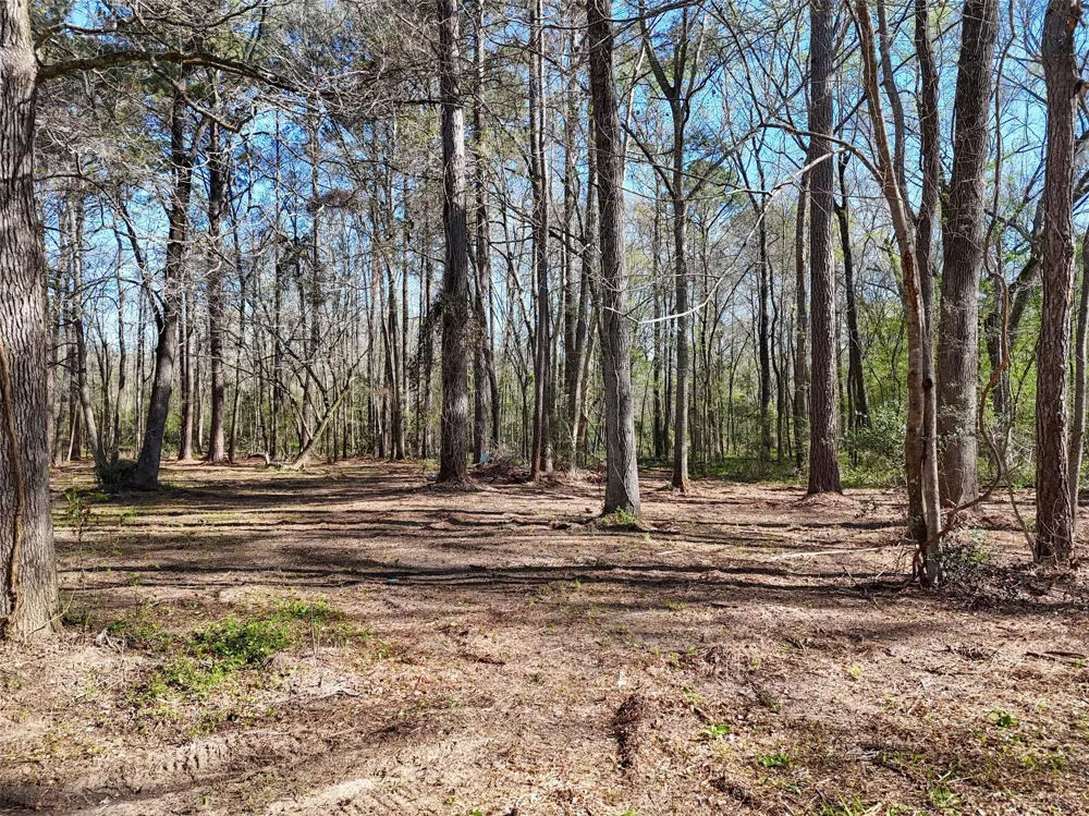 54 Ranch Acres Drive Huntsville, TX 77340