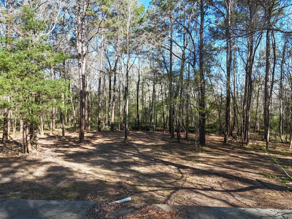 54 Ranch Acres Drive Huntsville, TX 77340
