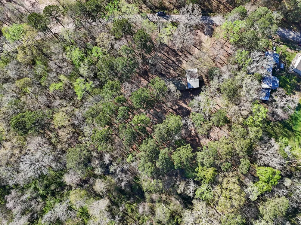 54 Ranch Acres Drive Huntsville, TX 77340