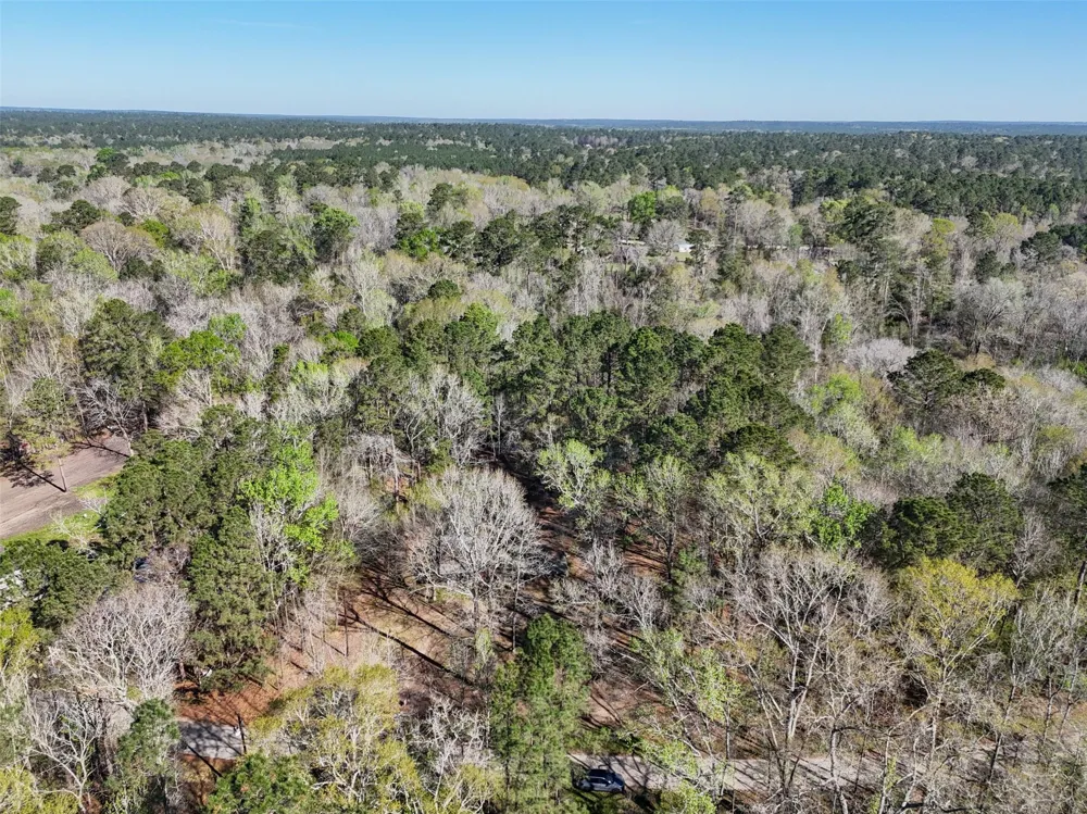 54 Ranch Acres Drive Huntsville, TX 77340