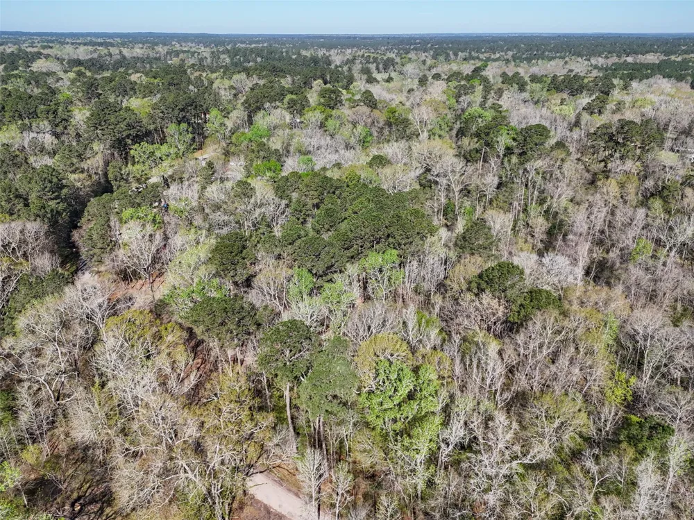 54 Ranch Acres Drive Huntsville, TX 77340