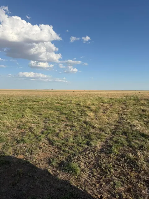 COUNTY RD 305