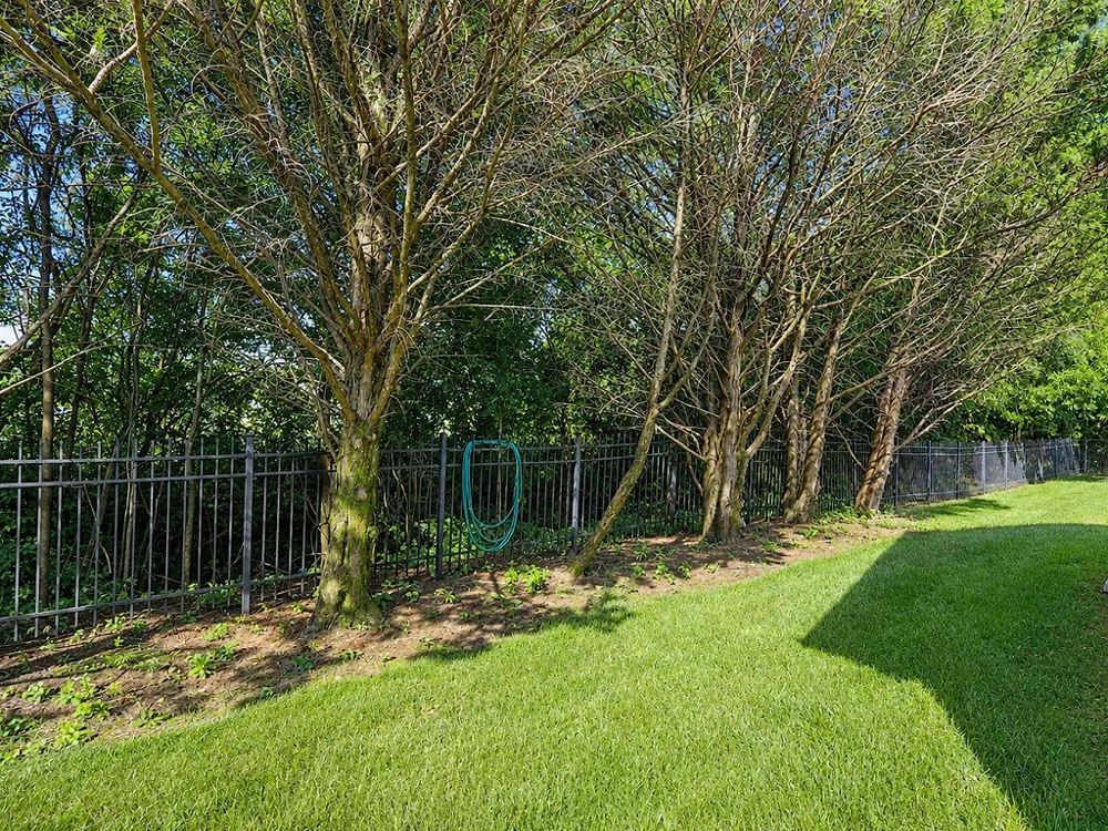 208 Ocoee Trace NW Cleveland, TN 37312