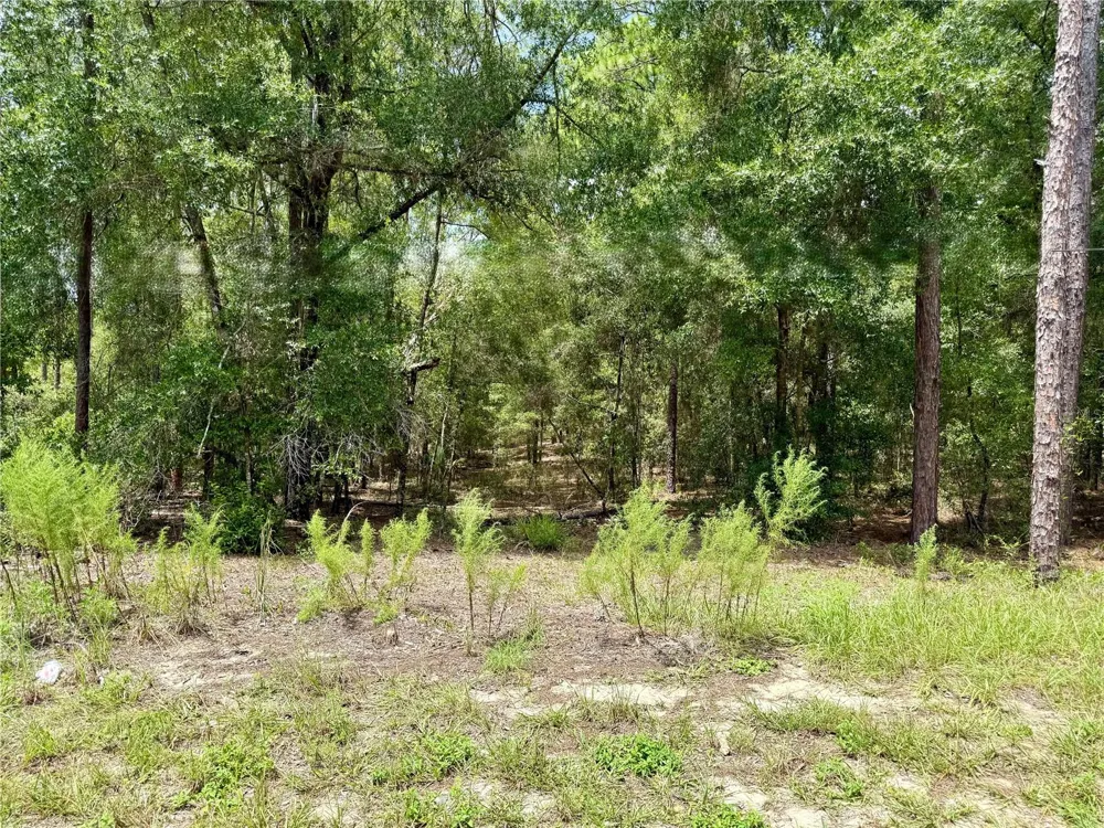 SW 205TH CIRCLE Dunnellon, FL 34431