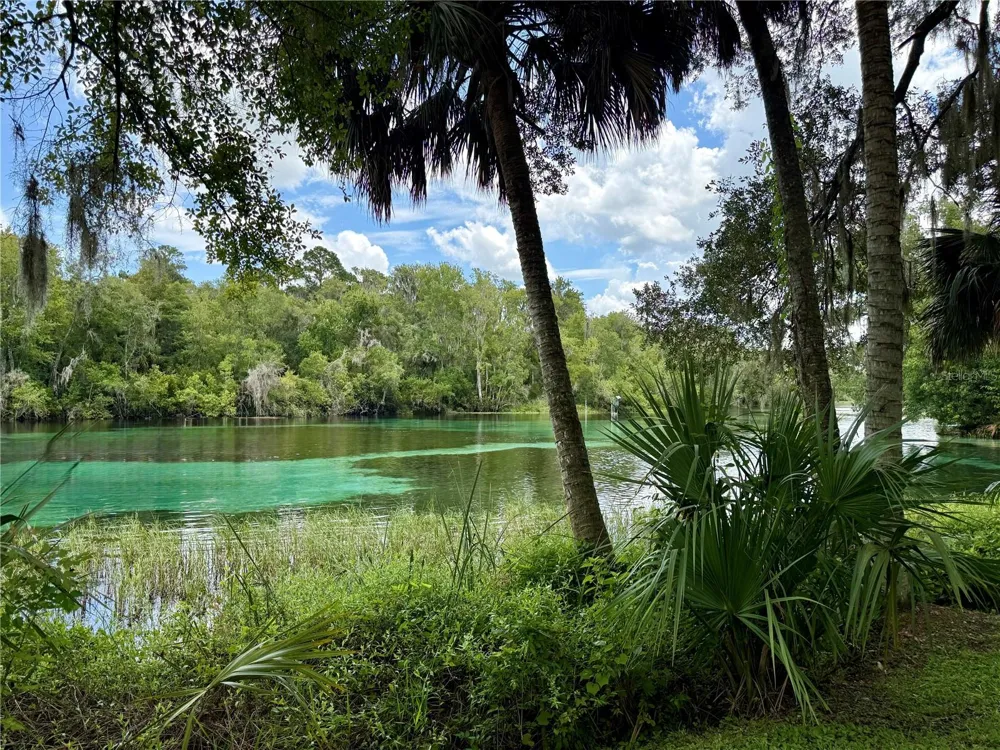 SW 205TH CIRCLE Dunnellon, FL 34431