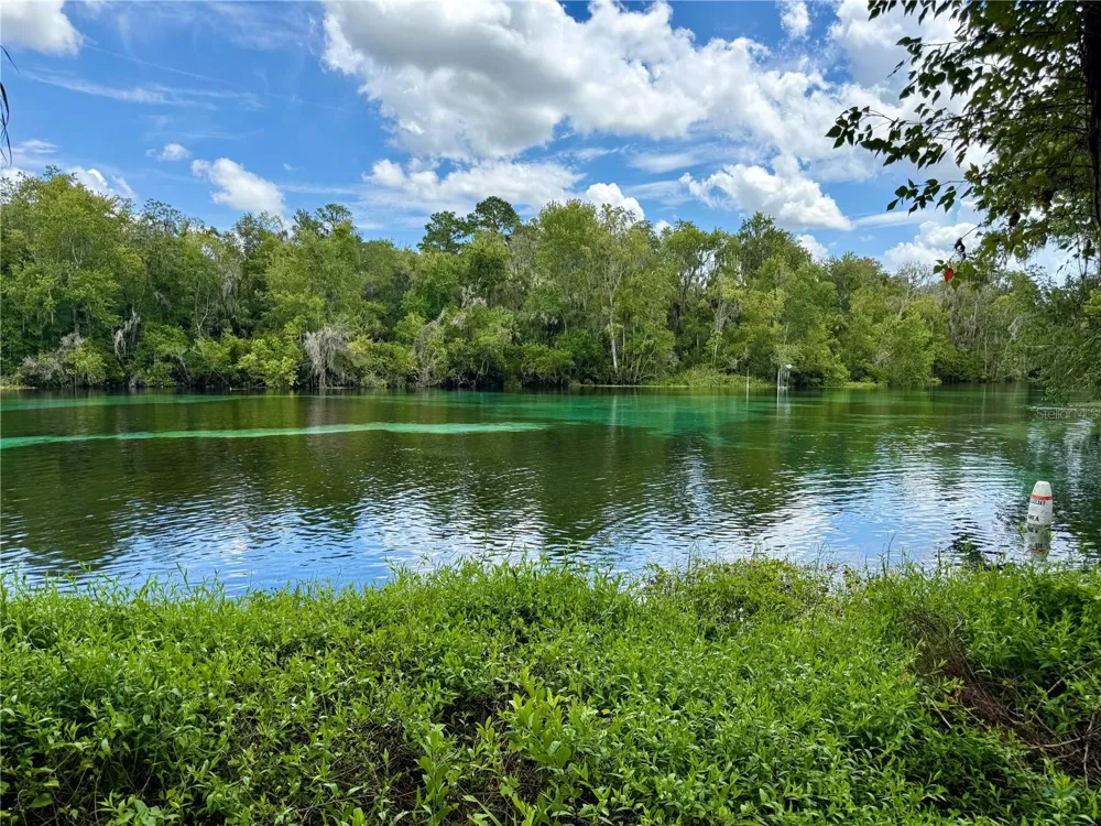 SW 205TH CIRCLE Dunnellon, FL 34431