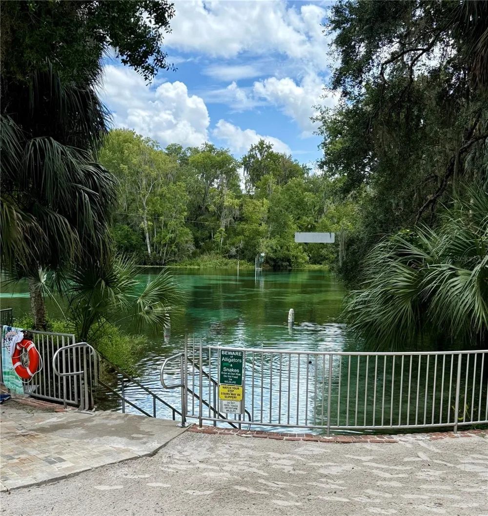 SW 205TH CIRCLE Dunnellon, FL 34431