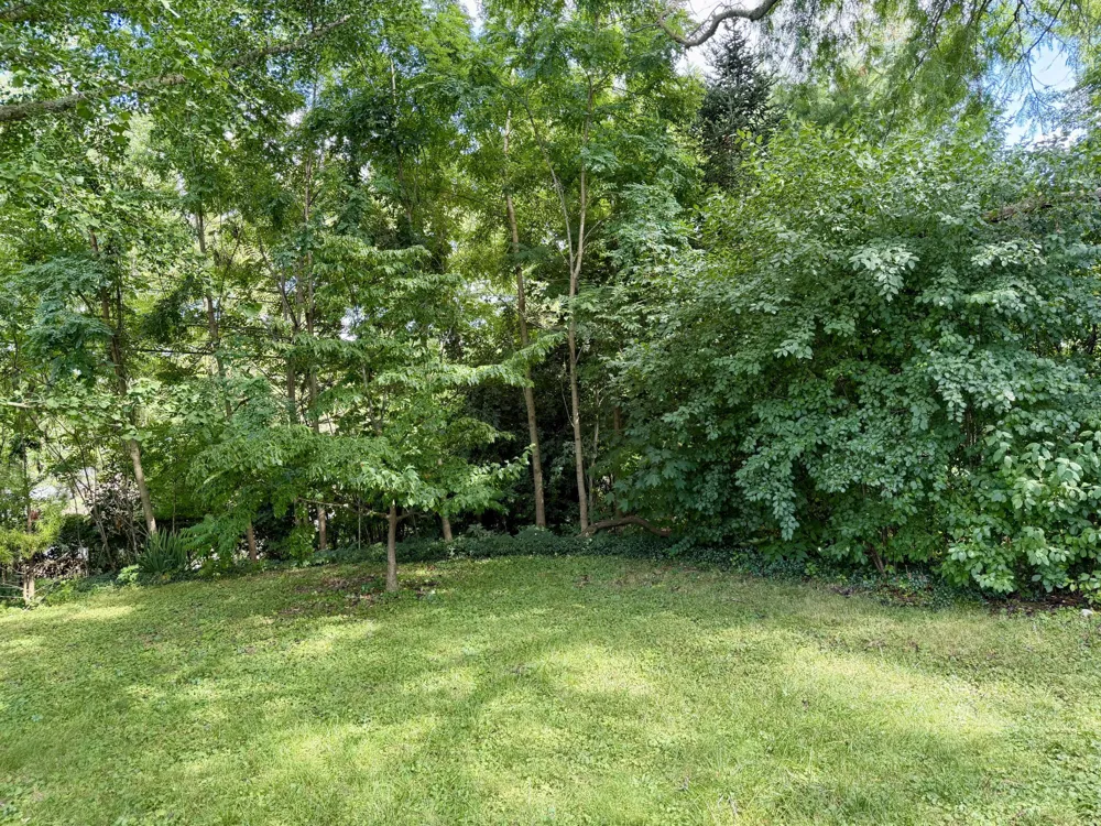 612 Leona Drive Ann Arbor City, MI 48103