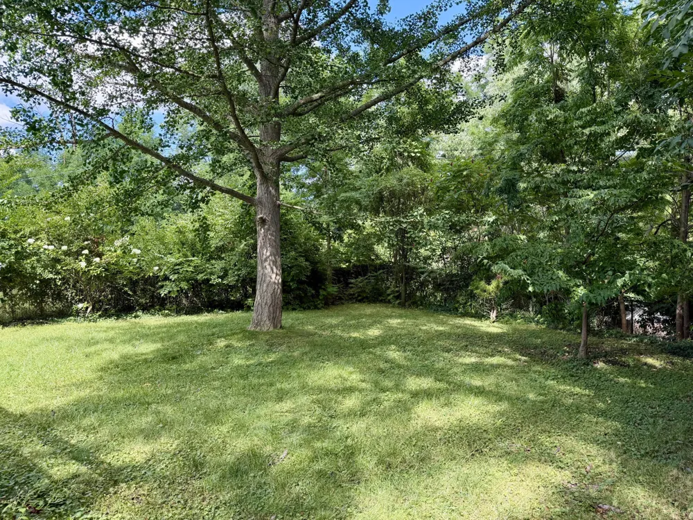 612 Leona Drive Ann Arbor City, MI 48103