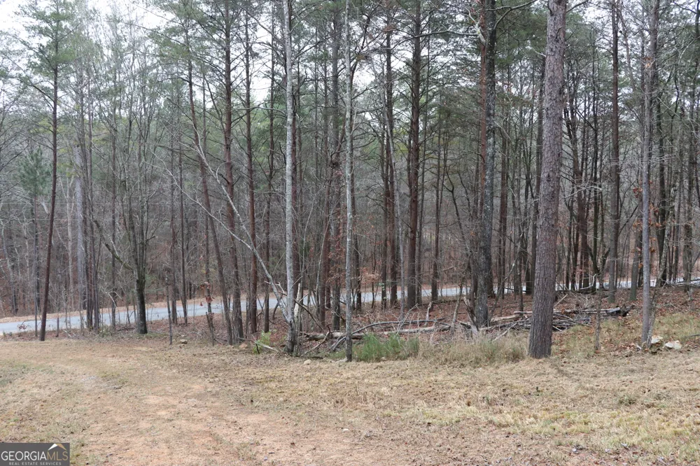 1217 Henderson CIR Lyerly, GA 30730