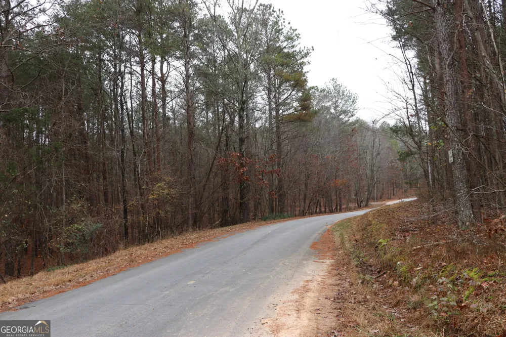 1217 Henderson CIR Lyerly, GA 30730