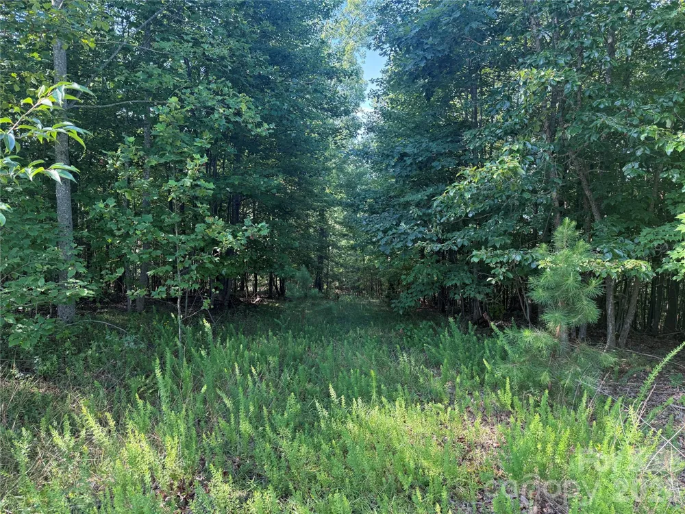 V/L Scenic Vista Drive #332/333 Nebo, NC 28761