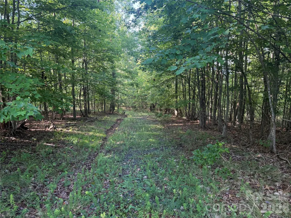 V/L Scenic Vista Drive #332/333 Nebo, NC 28761