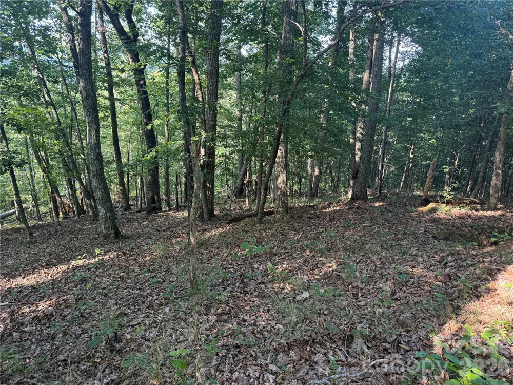 V/L Scenic Vista Drive #332/333 Nebo, NC 28761