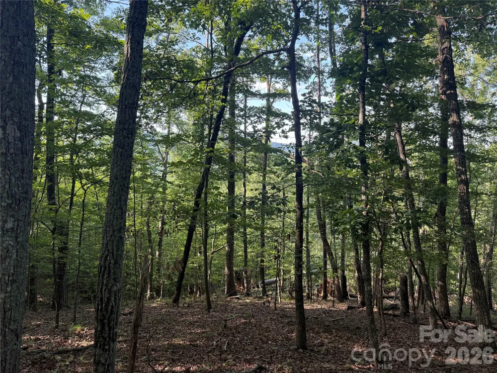 V/L Scenic Vista Drive #332/333 Nebo, NC 28761