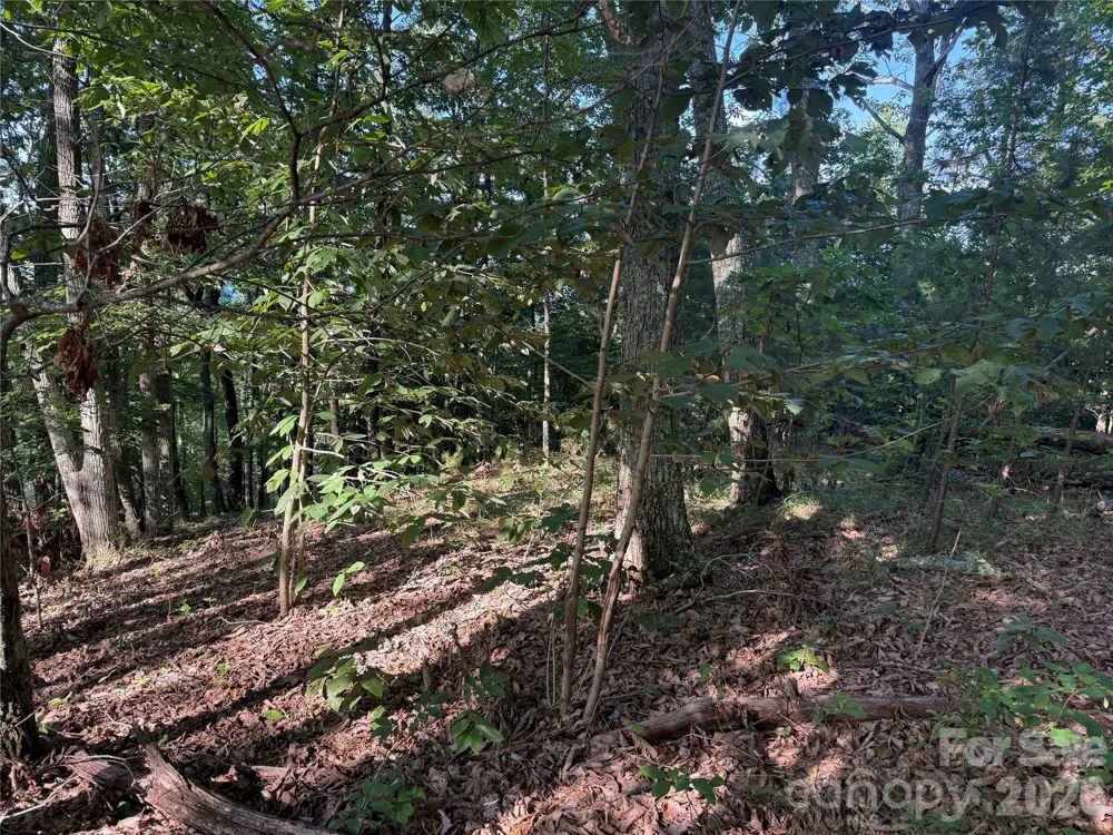 V/L Scenic Vista Drive #332/333 Nebo, NC 28761