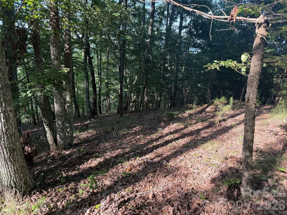 V/L Scenic Vista Drive #332/333 Nebo, NC 28761