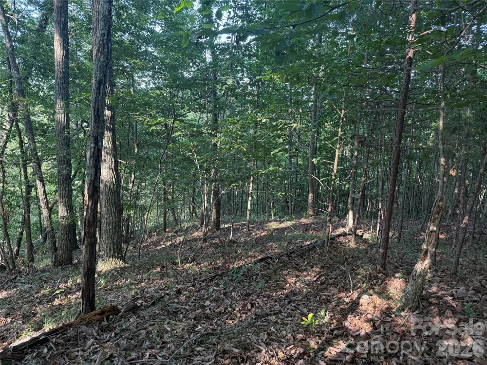 V/L Scenic Vista Drive #332/333 Nebo, NC 28761