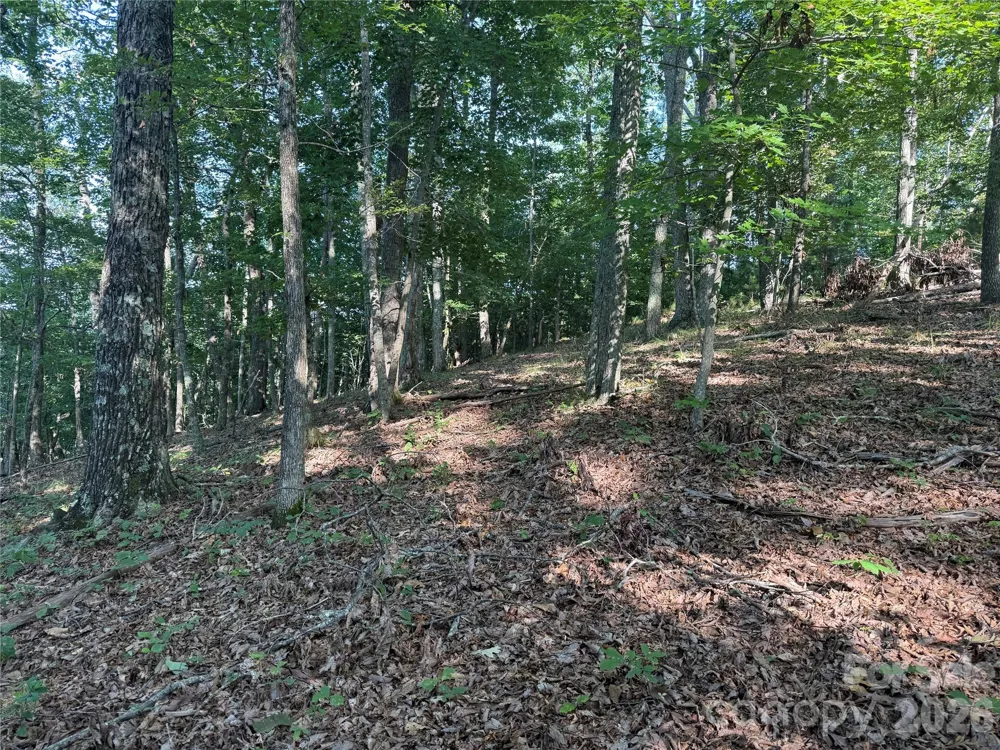 V/L Scenic Vista Drive #332/333 Nebo, NC 28761