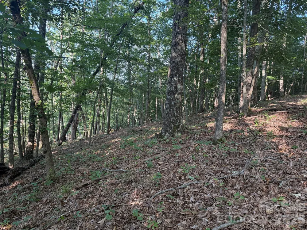 V/L Scenic Vista Drive #332/333 Nebo, NC 28761