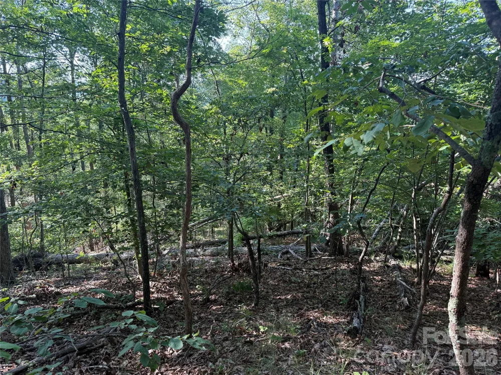 V/L Scenic Vista Drive #332/333 Nebo, NC 28761