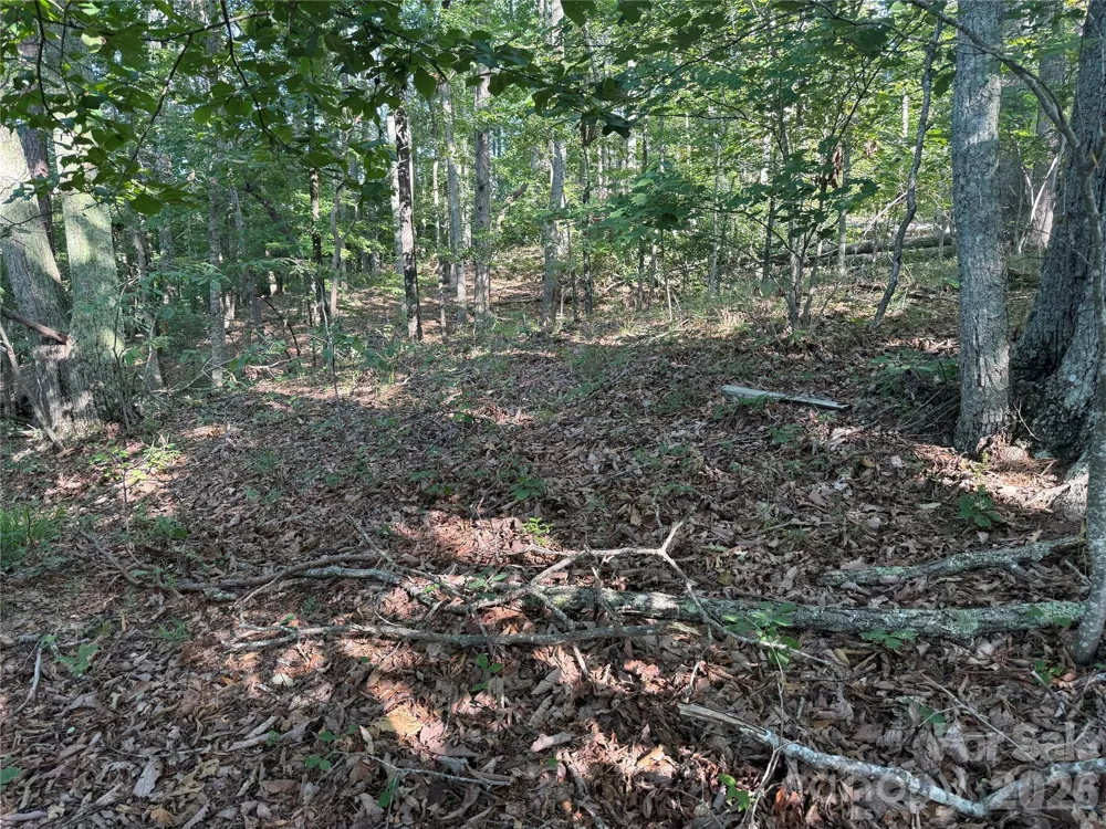 V/L Scenic Vista Drive #332/333 Nebo, NC 28761