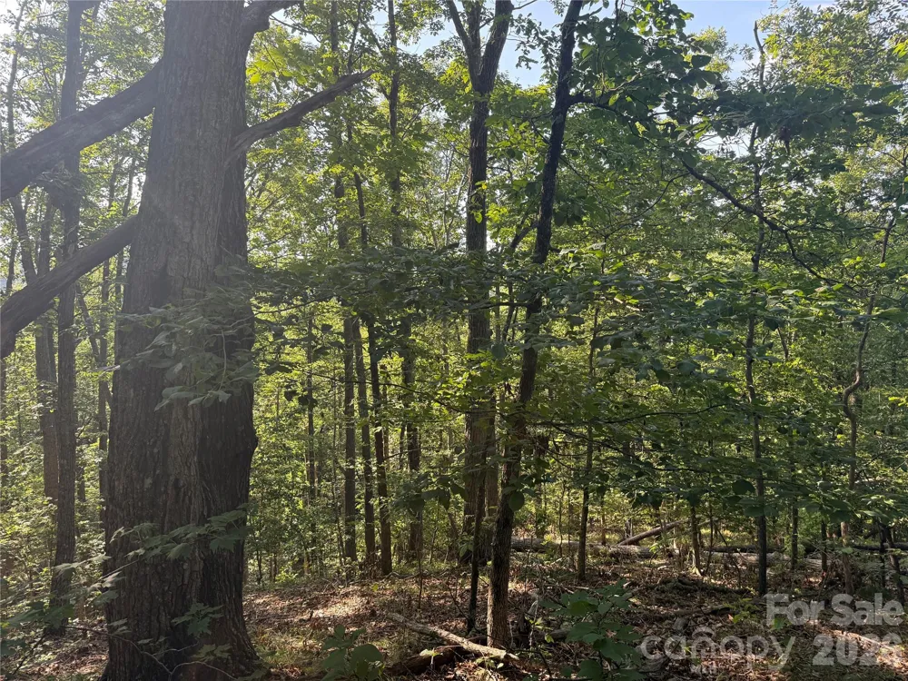 V/L Scenic Vista Drive #332/333 Nebo, NC 28761