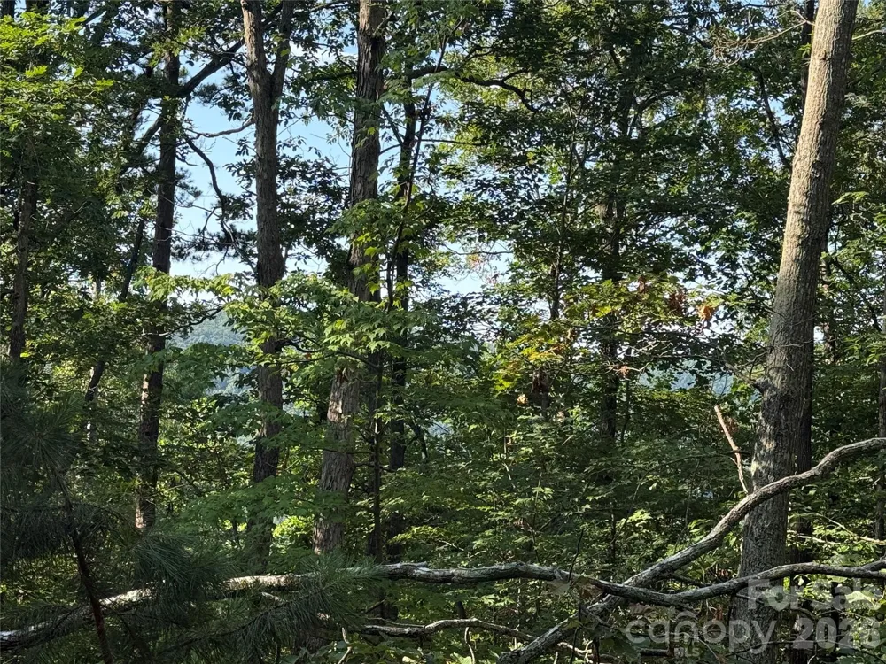 V/L Scenic Vista Drive #332/333 Nebo, NC 28761